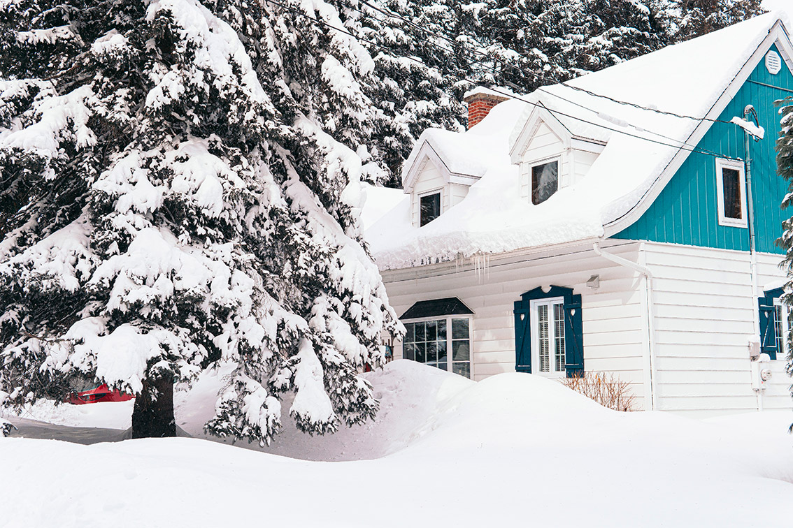 preparar-arboles-llegada-invierno-nieve-1